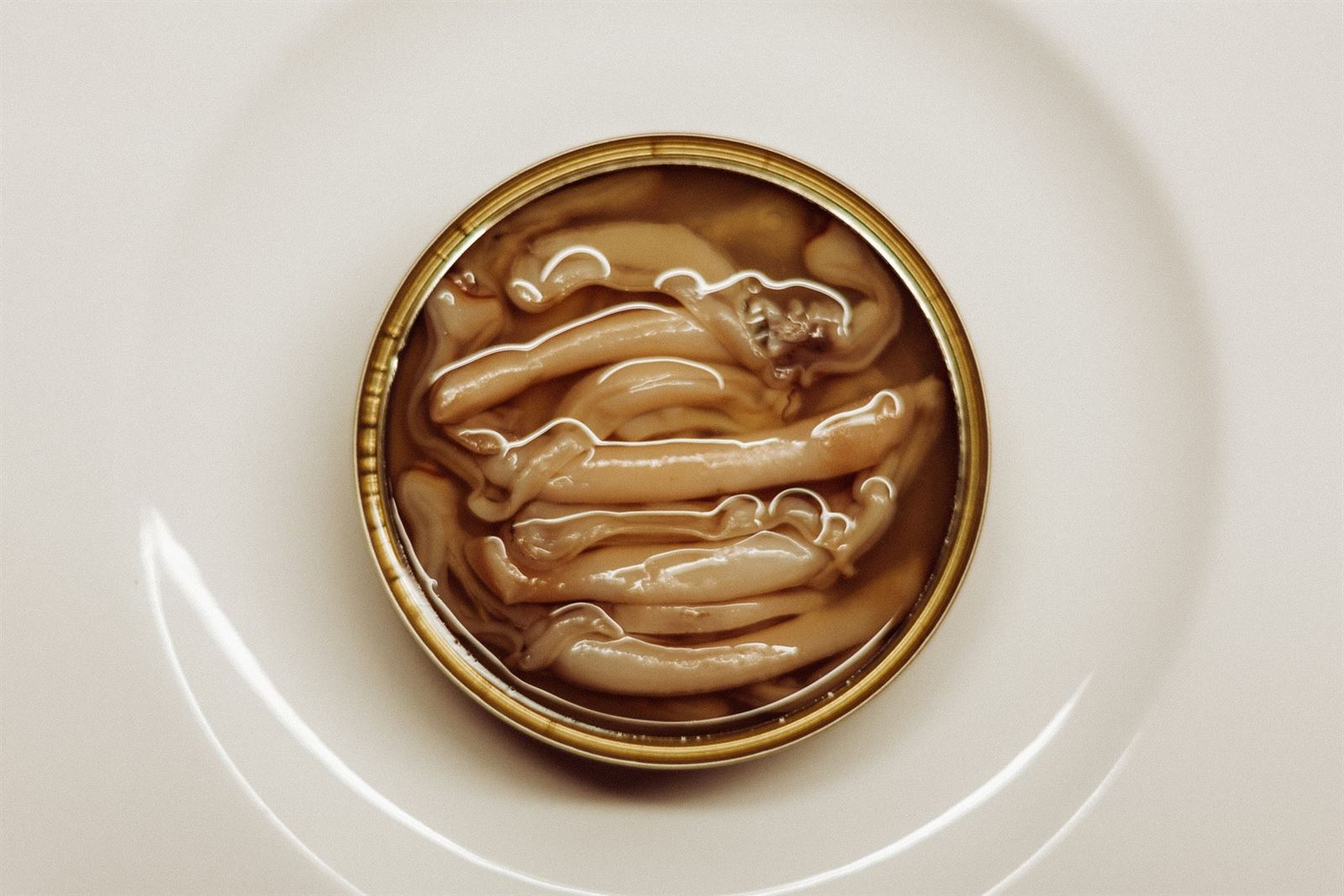 Navaja en Aceite de Oliva - Silver / Serie 8, Roi&Co