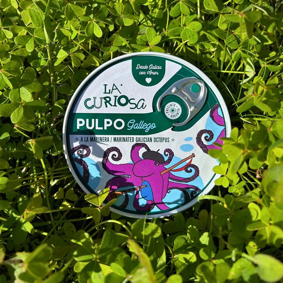 Pulpo gallego a la Marinera, La Curiosa
