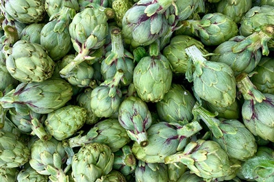 La alcachofa: una fuente de salud