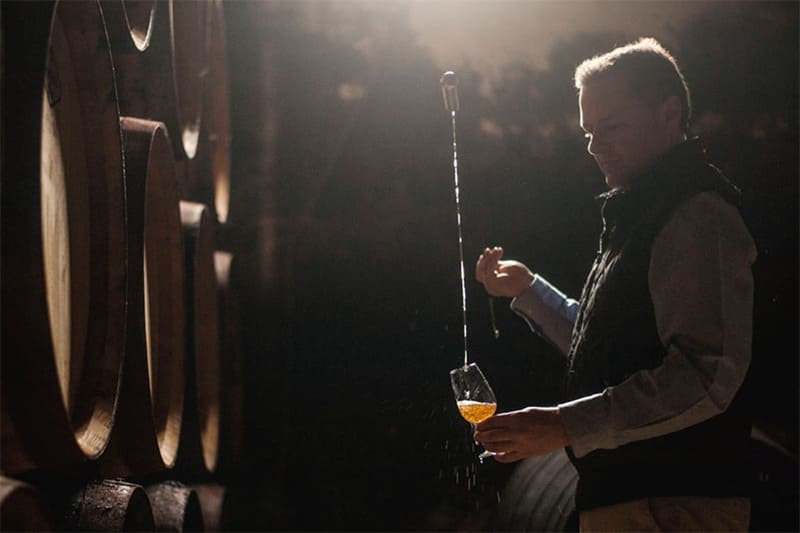 Jerez y sus vinos: elegancia, tradición y prestigio internacional