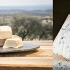¿Queso de cabra o queso de oveja?