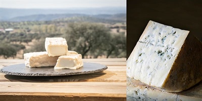 Goat cheese or sheep cheese?