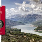 Jaén: la tierra del AOVE