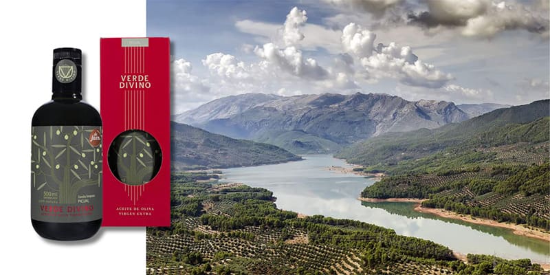 Jaén: la tierra del AOVE