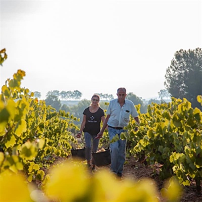 Vins El Cep: Premium Cavas that define the Penedès tradition since 1448