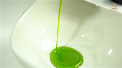 Elogio Premium: The Essence of Spanish Excellence in Extra Virgin Olive Oil