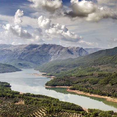 Made in Jaén: the world's cradle of Extra Virgin Olive Oil