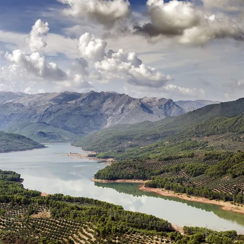 Fabriqué à Jaén : le berceau mondial de l'huile d'olive vierge extra