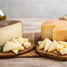 Manchego or Idiazabal cheese: which to choose?