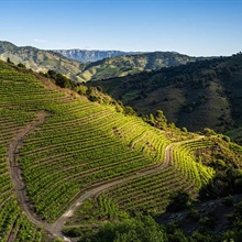 Le Priorat, paradis gastronomique