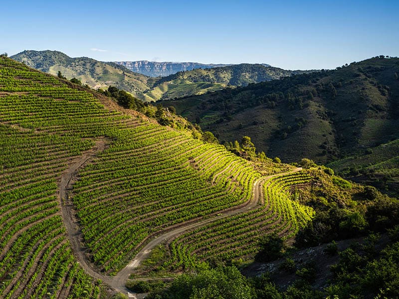 El Priorat, paraíso gastronómico