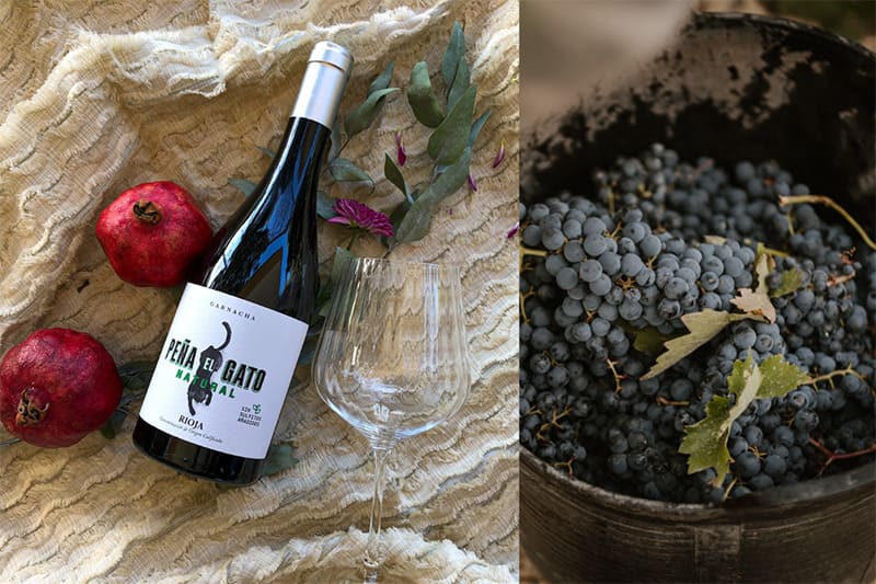 La Rioja, marque universelle