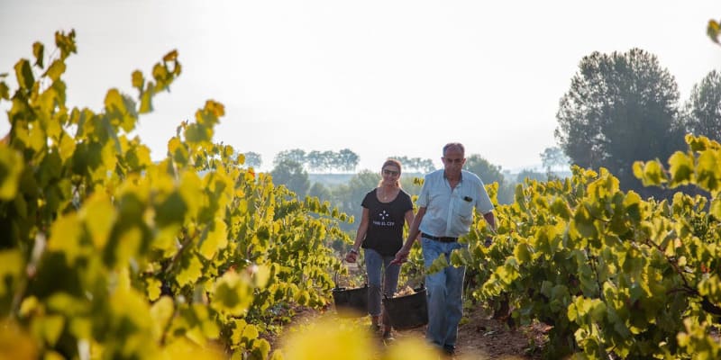Vins El Cep : Cavas premium qui définissent la tradition du Penedés depuis 1448