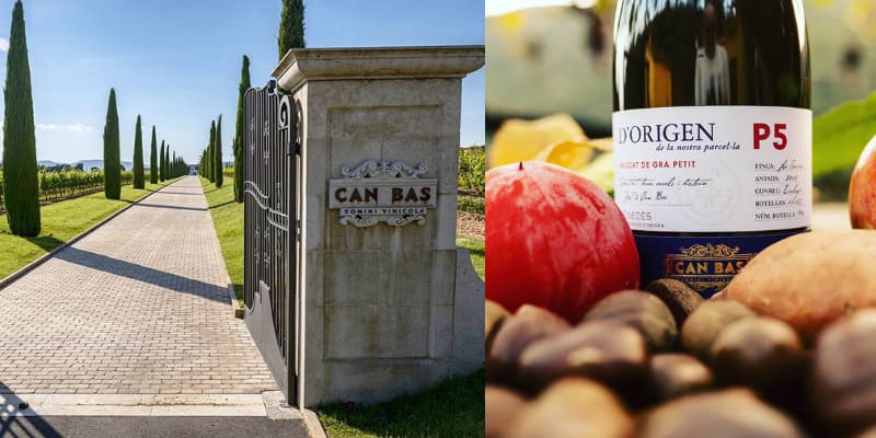 Essentiels du mois de juillet 2025