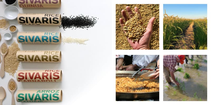 Le riz Sivaris : un luxe dans chaque grain
