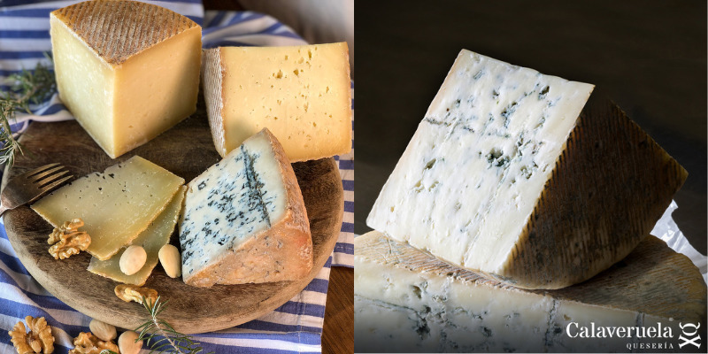 Fromages Made in Spain Gourmet