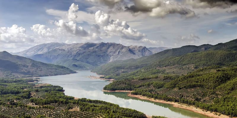 Made in Jaén: the world's cradle of Extra Virgin Olive Oil