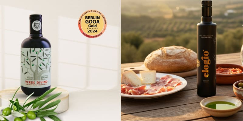 Made in Jaén: the world's cradle of Extra Virgin Olive Oil