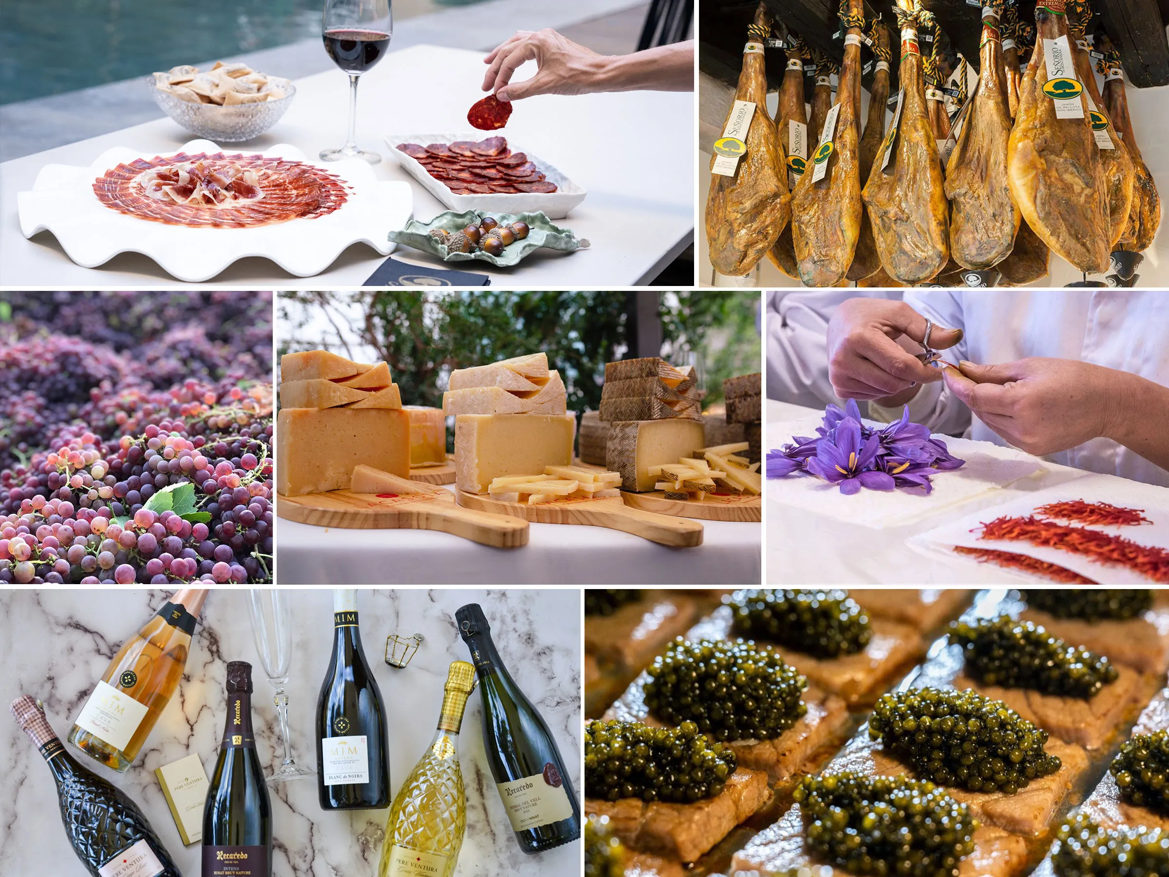 Selección gourmet profesional Made in Spain Gourmet